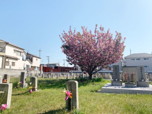 福里墓園（明石市二見町）のお墓の写真